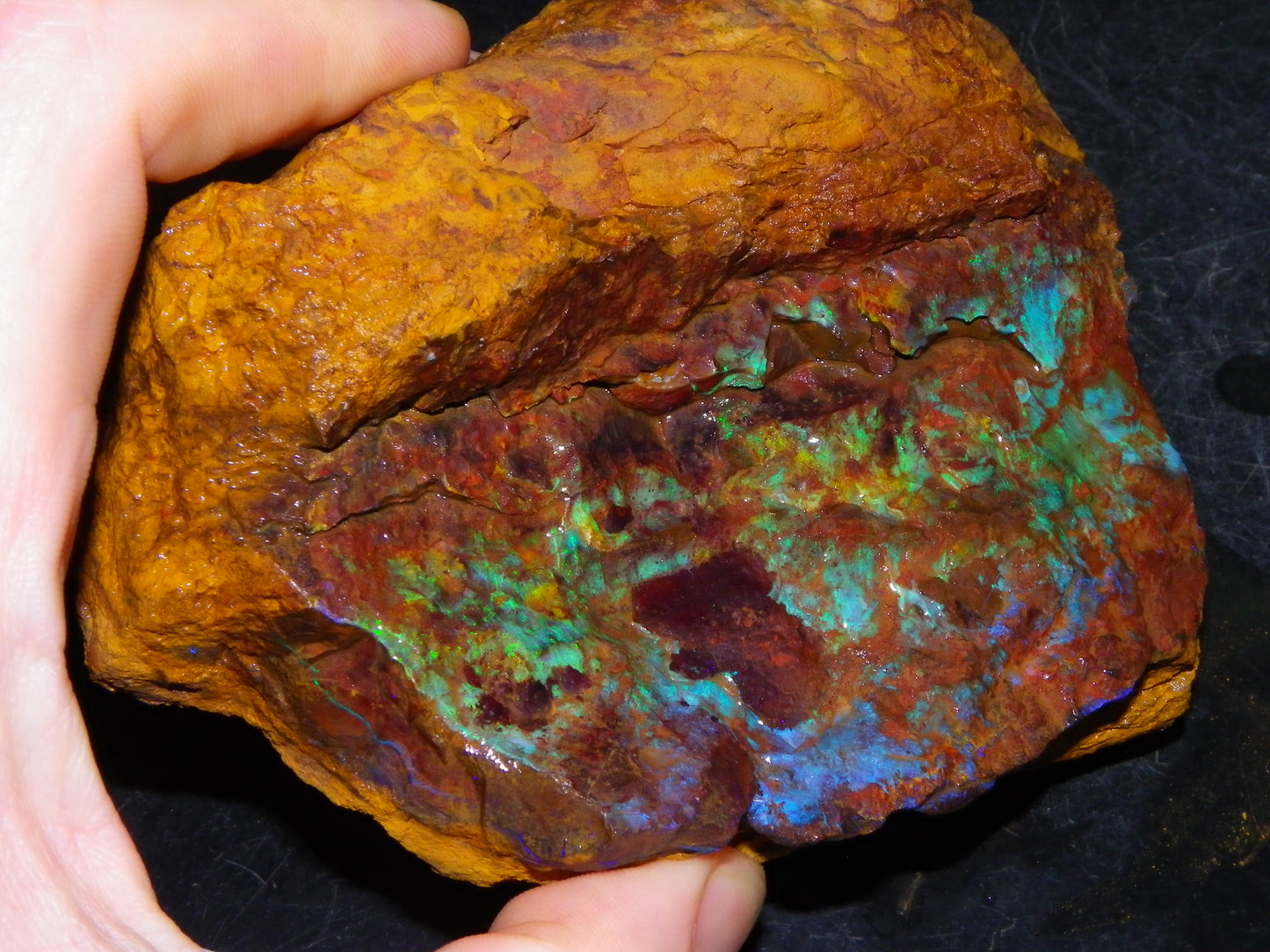 2  Larger Rough Boulder Opal Specimens 4698cts Queensland Australia Blue/Green Fires