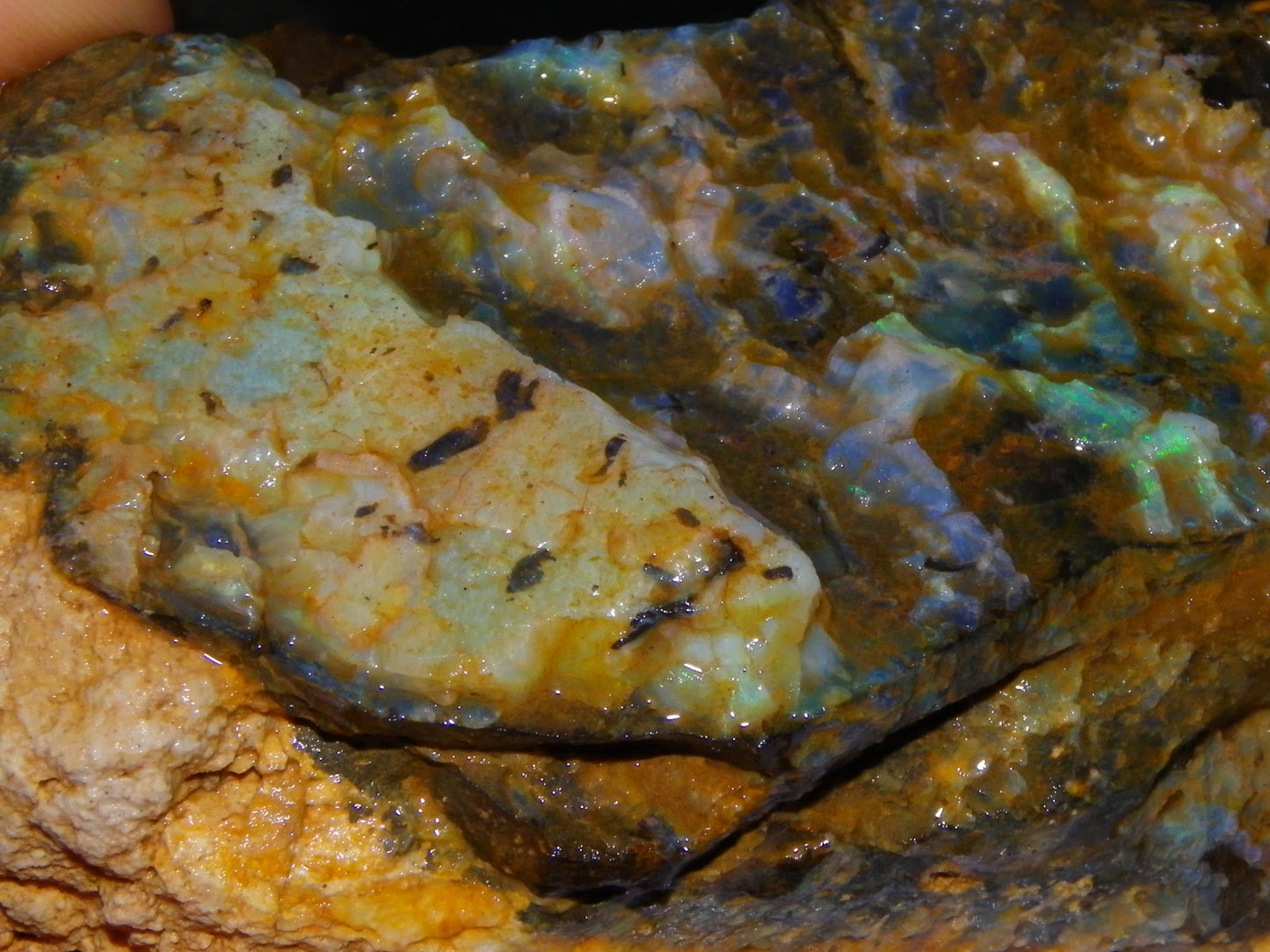 2  Larger Rough Boulder Opal Specimens 4698cts Queensland Australia Blue/Green Fires