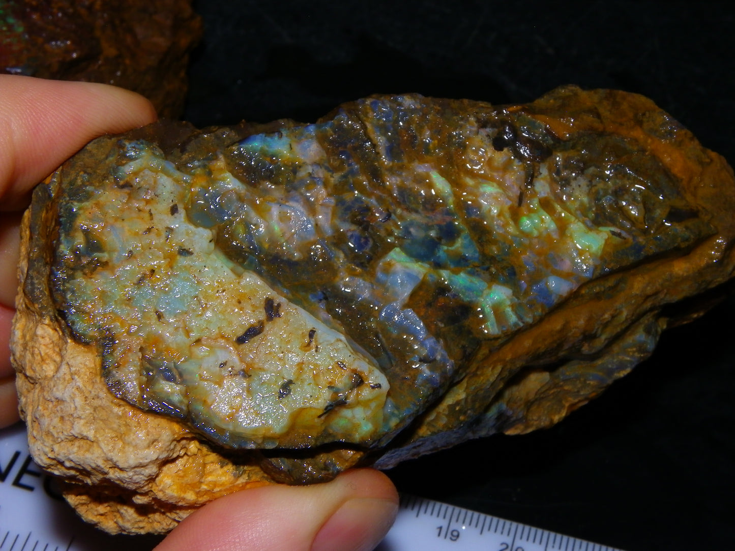 2  Larger Rough Boulder Opal Specimens 4698cts Queensland Australia Blue/Green Fires