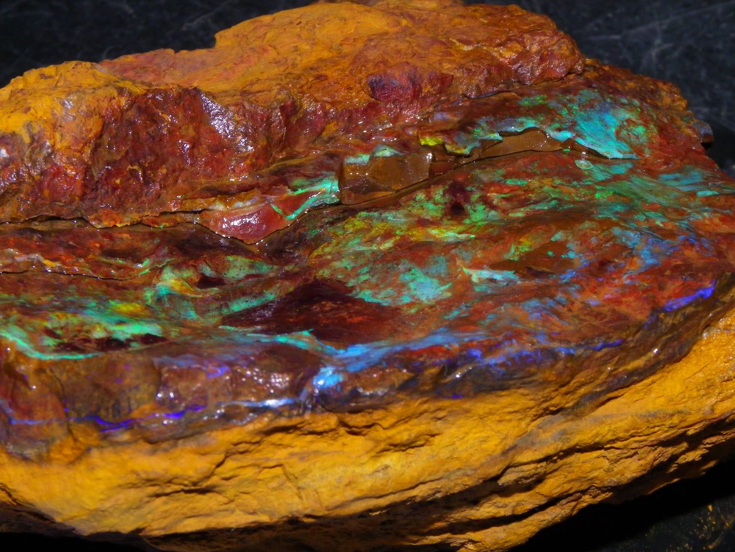 2  Larger Rough Boulder Opal Specimens 4698cts Queensland Australia Blue/Green Fires