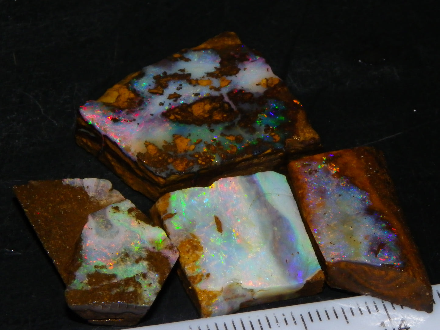 4 Nice Rubbed/Rough Queensland Boulder Opals 76cts Multicolour Fires Australia