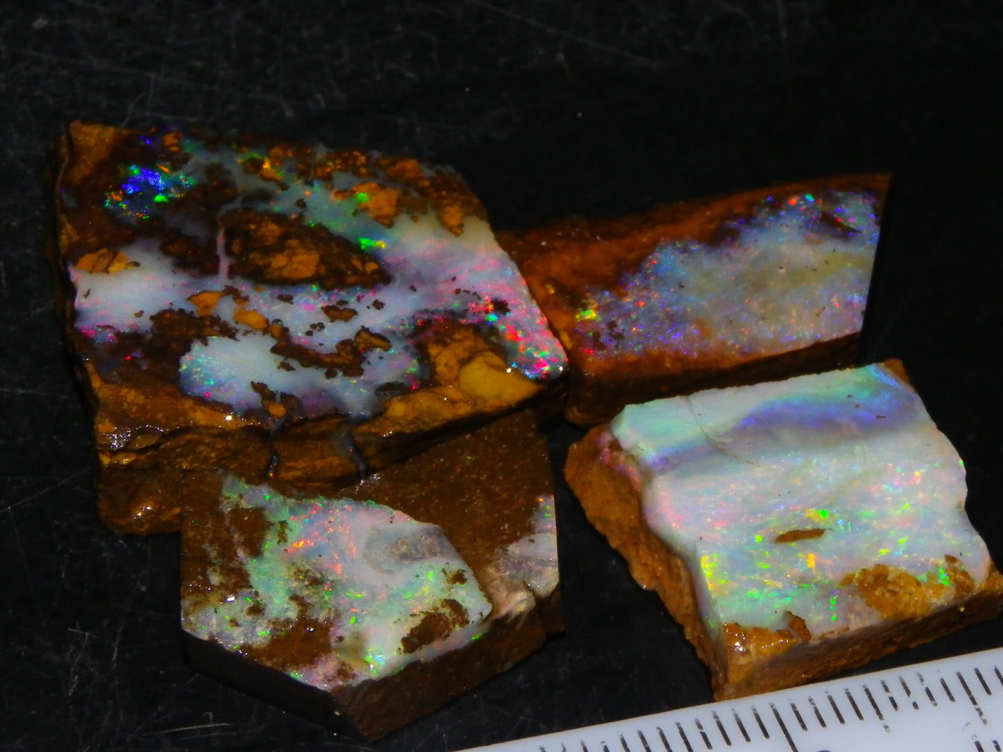 4 Nice Rubbed/Rough Queensland Boulder Opals 76cts Multicolour Fires Australia