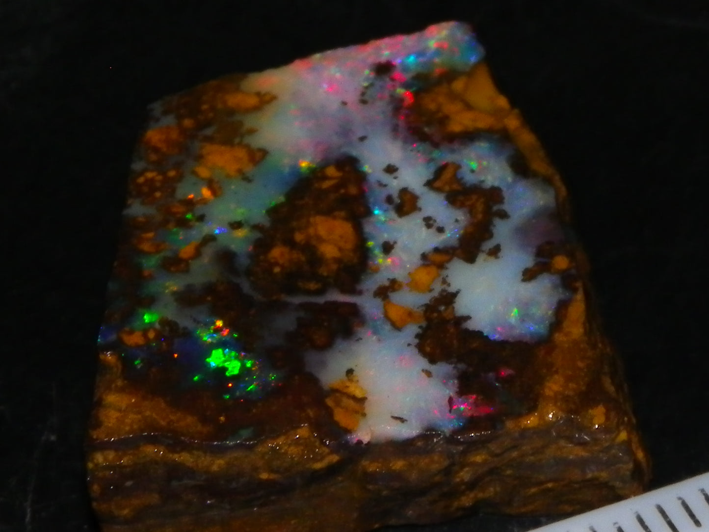 4 Nice Rubbed/Rough Queensland Boulder Opals 76cts Multicolour Fires Australia