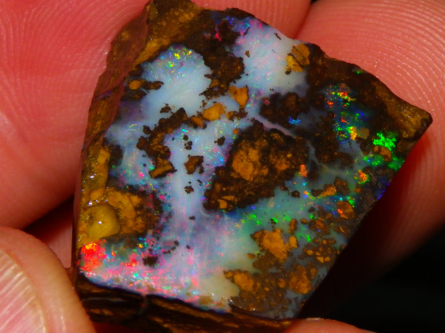 4 Nice Rubbed/Rough Queensland Boulder Opals 76cts Multicolour Fires Australia