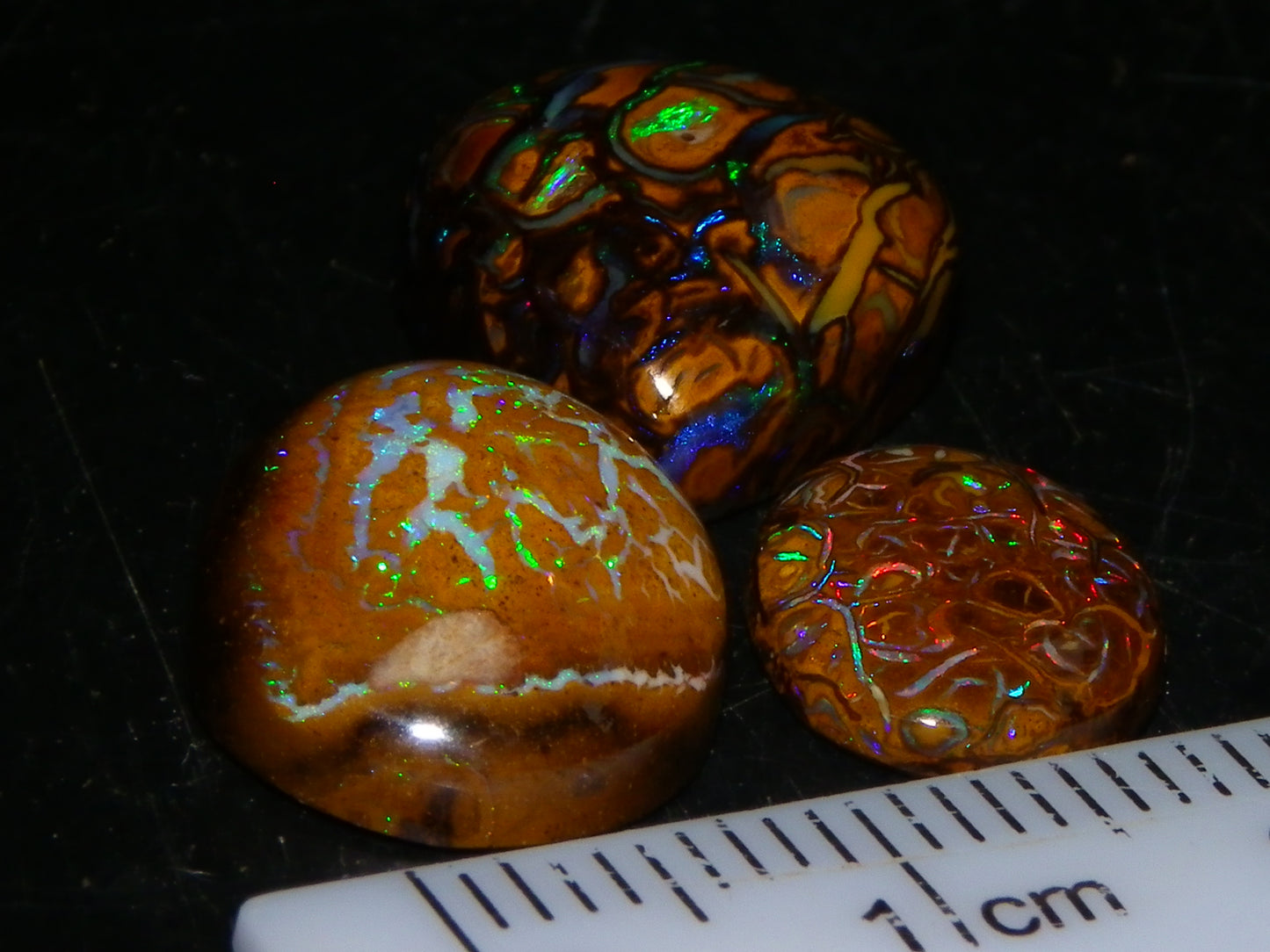 3 Nice Cut/Polished Koroit/Yowah Opal Ring Stones 17.5cts Multicolour Fires Qld Australia