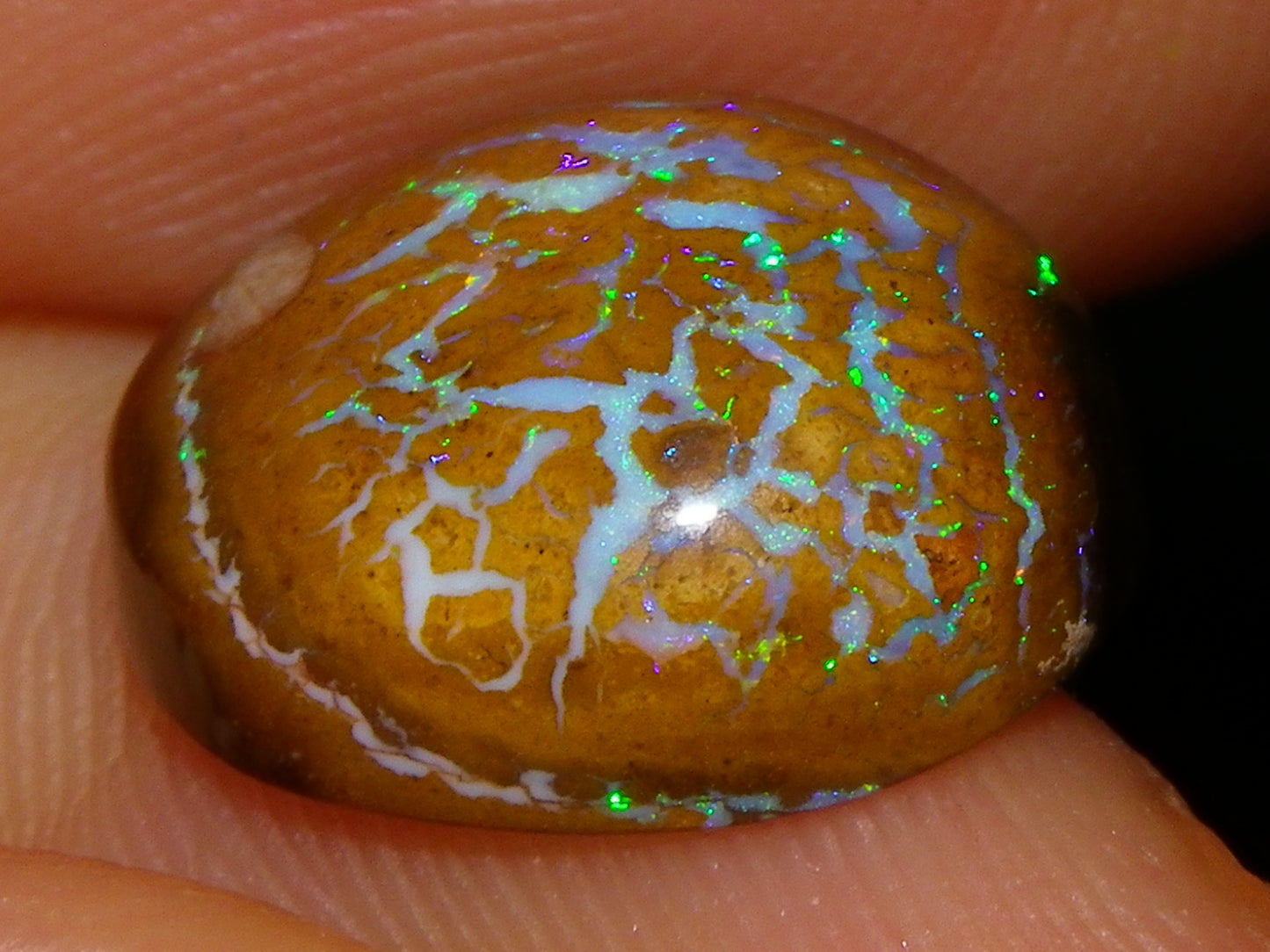 3 Nice Cut/Polished Koroit/Yowah Opal Ring Stones 17.5cts Multicolour Fires Qld Australia
