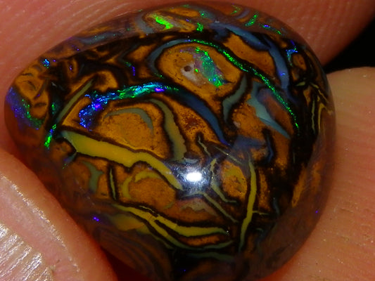 3 Nice Cut/Polished Koroit/Yowah Opal Ring Stones 17.5cts Multicolour Fires Qld Australia