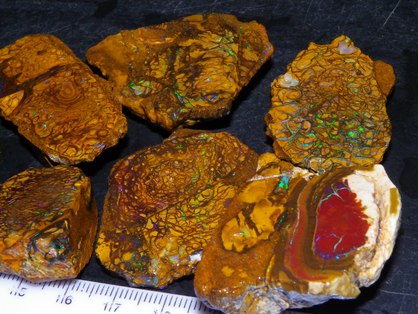 6 NIce Rough/sliced Koroit Opals 505cts Green/Blue Fires/Patterns/Nuts Australia