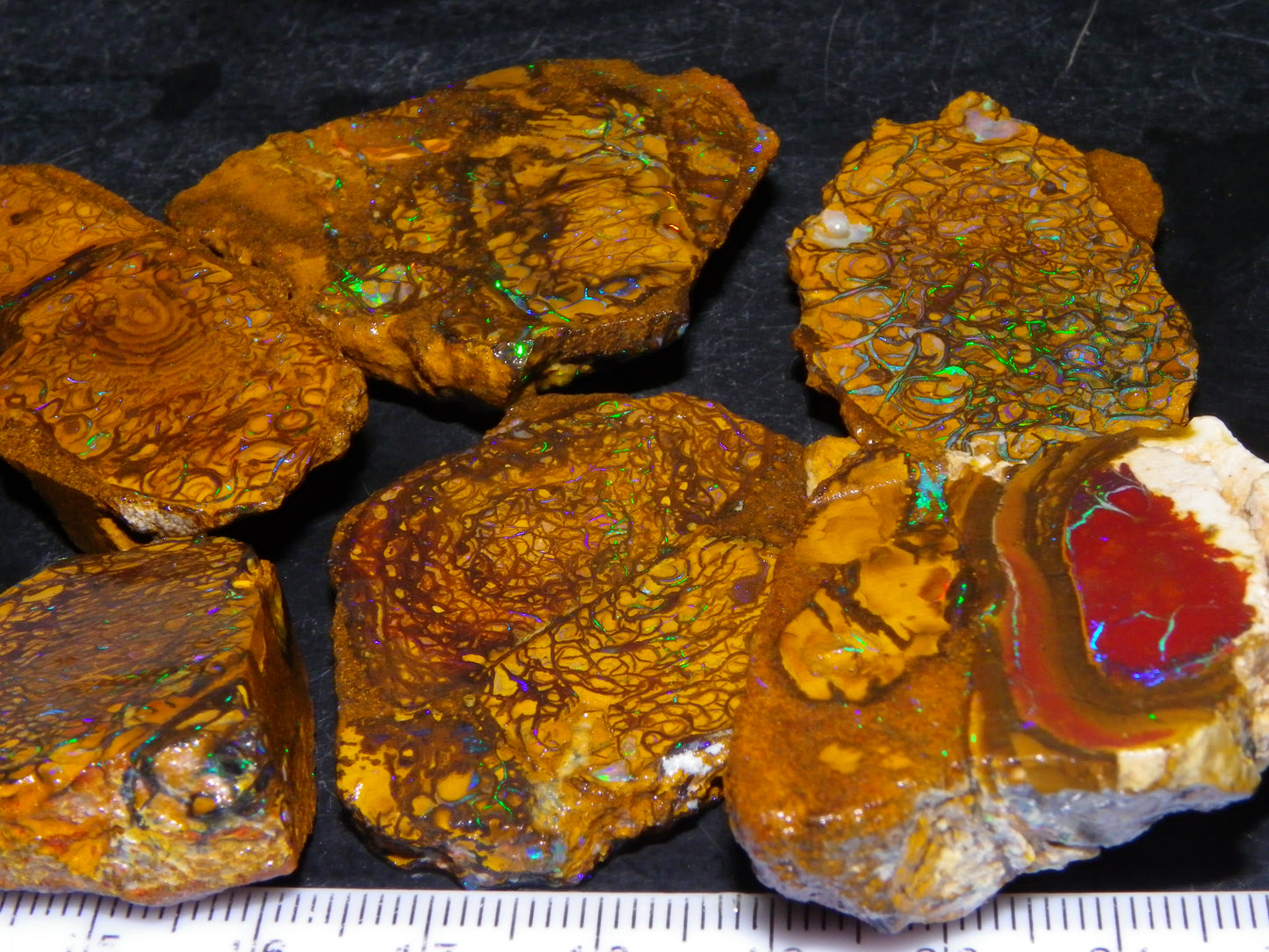 6 NIce Rough/sliced Koroit Opals 505cts Green/Blue Fires/Patterns/Nuts Australia