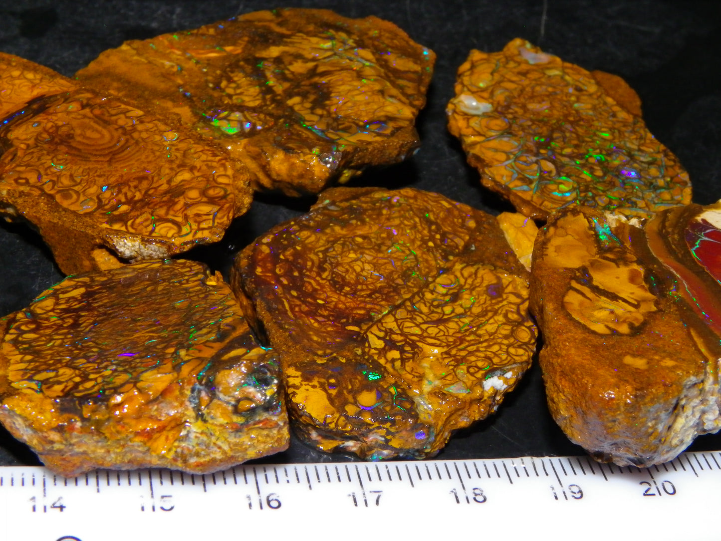 6 NIce Rough/sliced Koroit Opals 505cts Green/Blue Fires/Patterns/Nuts Australia