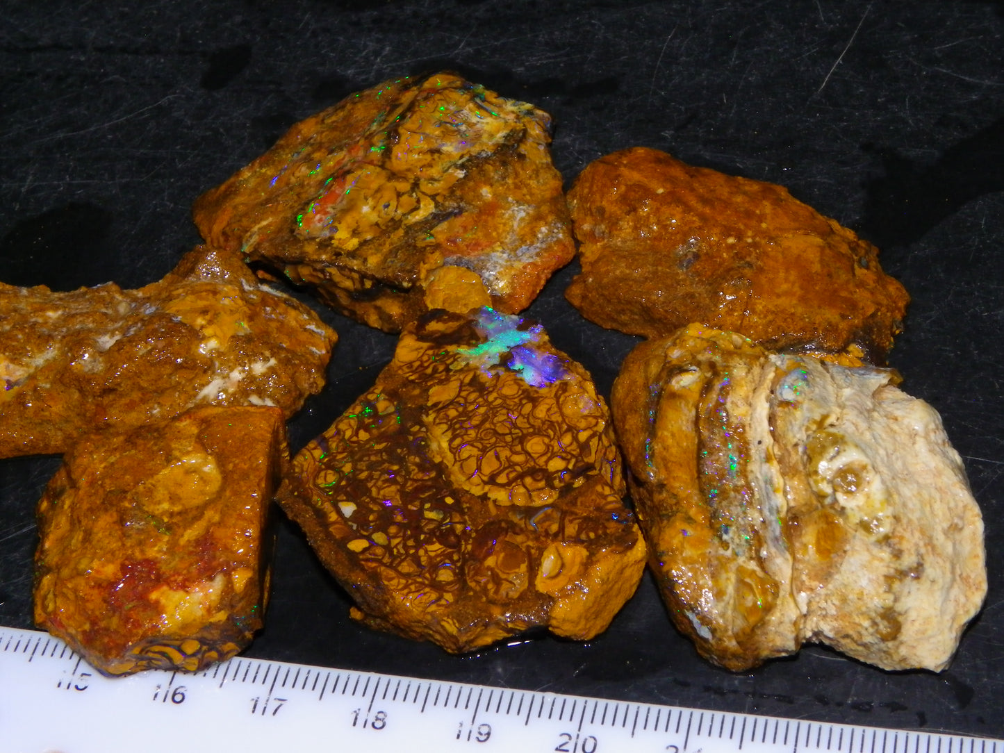 6 NIce Rough/sliced Koroit Opals 505cts Green/Blue Fires/Patterns/Nuts Australia