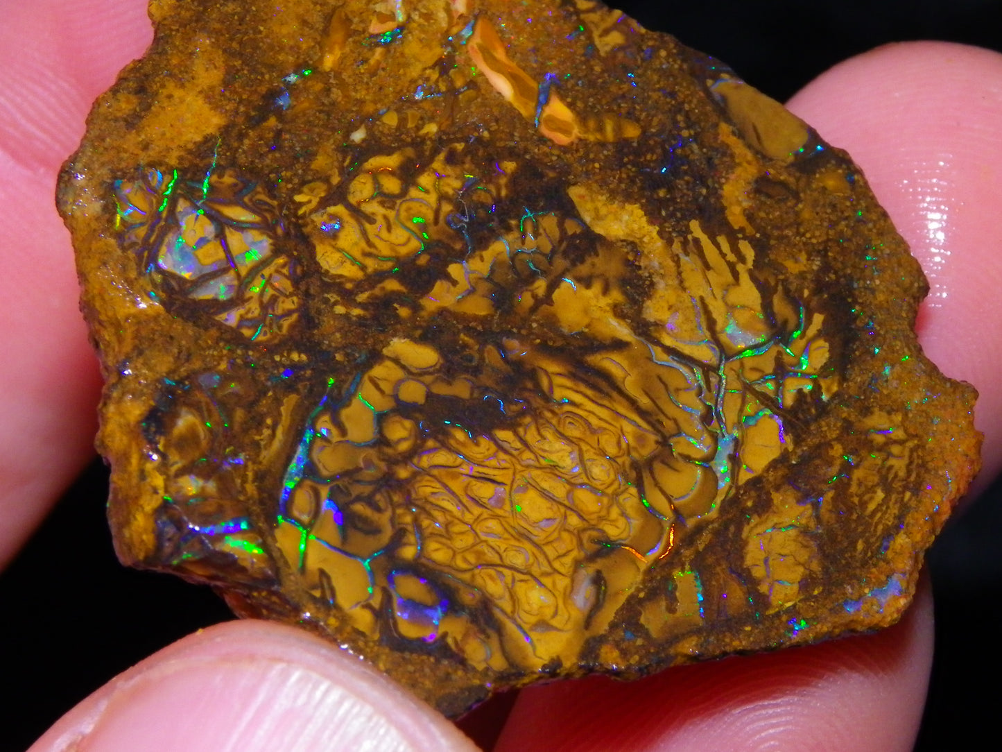 6 NIce Rough/sliced Koroit Opals 505cts Green/Blue Fires/Patterns/Nuts Australia