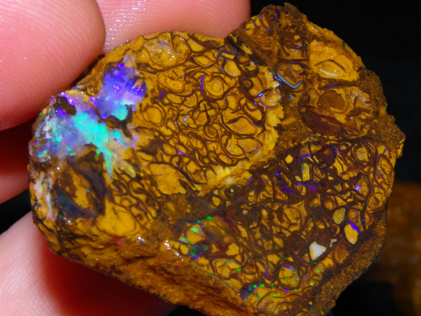 6 NIce Rough/sliced Koroit Opals 505cts Green/Blue Fires/Patterns/Nuts Australia