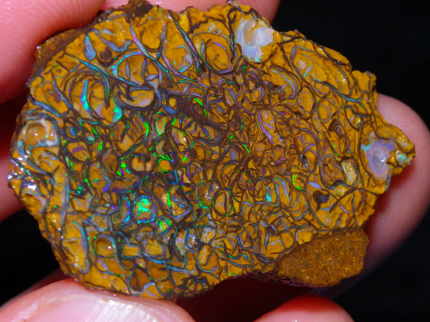 6 NIce Rough/sliced Koroit Opals 505cts Green/Blue Fires/Patterns/Nuts Australia