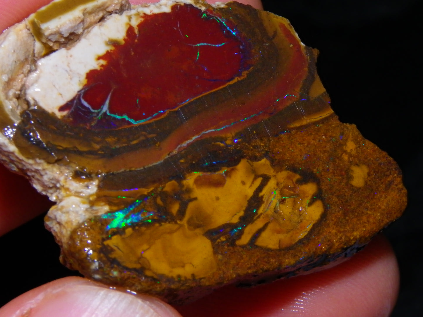 6 NIce Rough/sliced Koroit Opals 505cts Green/Blue Fires/Patterns/Nuts Australia