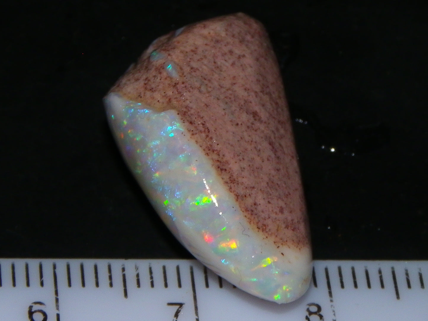 Quality Coober Pedy Fossil Shell Opal Gem Rub/specimen 18cts Multicolour Fires