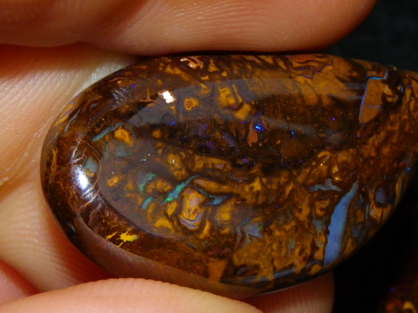 6 Cut/Polished Koroit Boulder Opal Cabs/Freeforms 219.5cts Patterns/Some Fires Qld Au