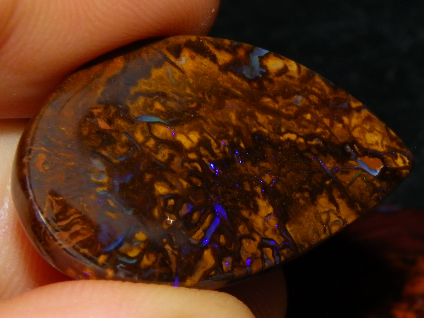 6 Cut/Polished Koroit Boulder Opal Cabs/Freeforms 219.5cts Patterns/Some Fires Qld Au