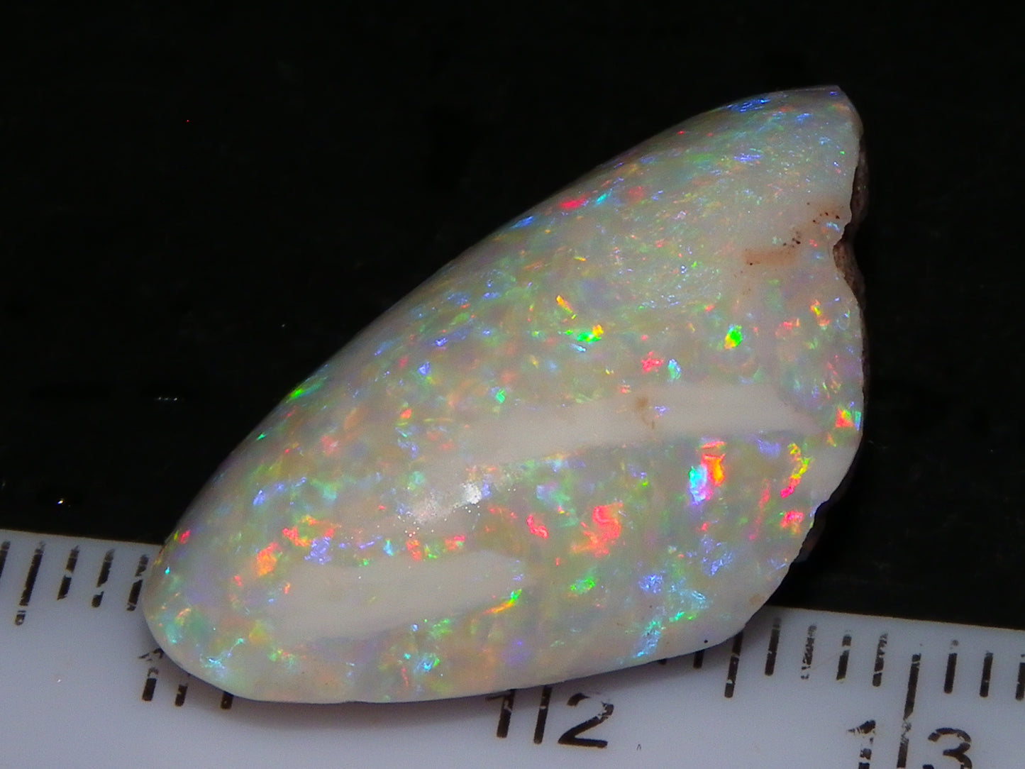 Quality Coober Pedy Fossil Shell Opal Gem Rub/specimen 18cts Multicolour Fires