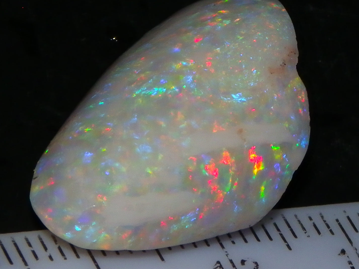 Quality Coober Pedy Fossil Shell Opal Gem Rub/specimen 18cts Multicolour Fires