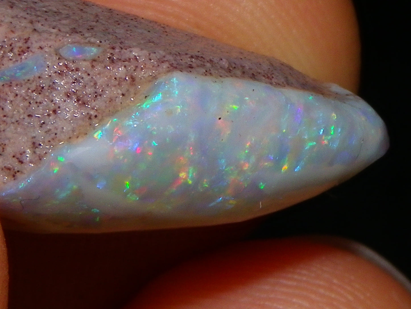 Quality Coober Pedy Fossil Shell Opal Gem Rub/specimen 18cts Multicolour Fires