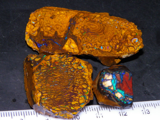 3 Nice Rough/Sliced Koroit Opal Nuts/Pattern Stones 171cts Queensland Australia Green/Blues