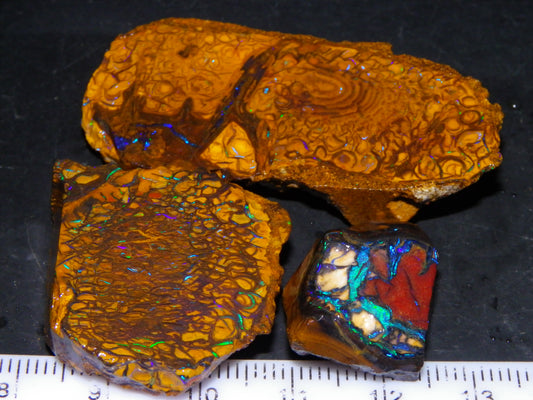 3 Nice Rough/Sliced Koroit Opal Nuts/Pattern Stones 171cts Queensland Australia Green/Blues