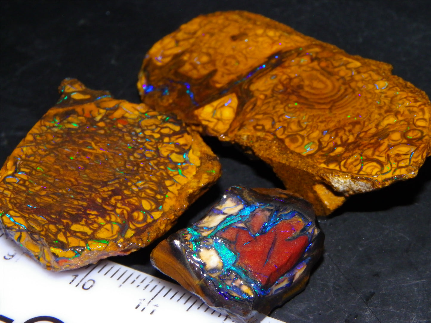 3 Nice Rough/Sliced Koroit Opal Nuts/Pattern Stones 171cts Queensland Australia Green/Blues