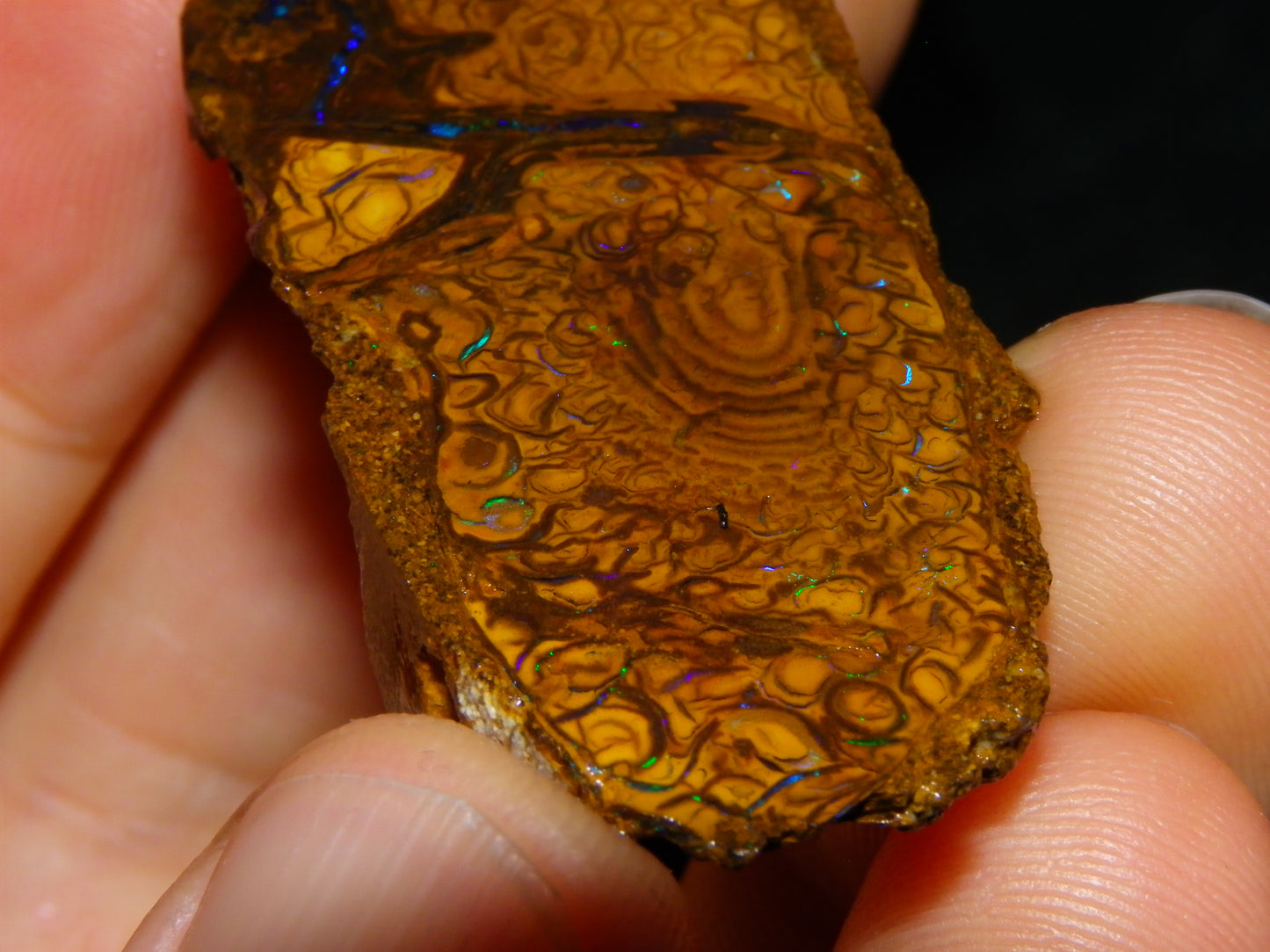 3 Nice Rough/Sliced Koroit Opal Nuts/Pattern Stones 171cts Queensland Australia Green/Blues