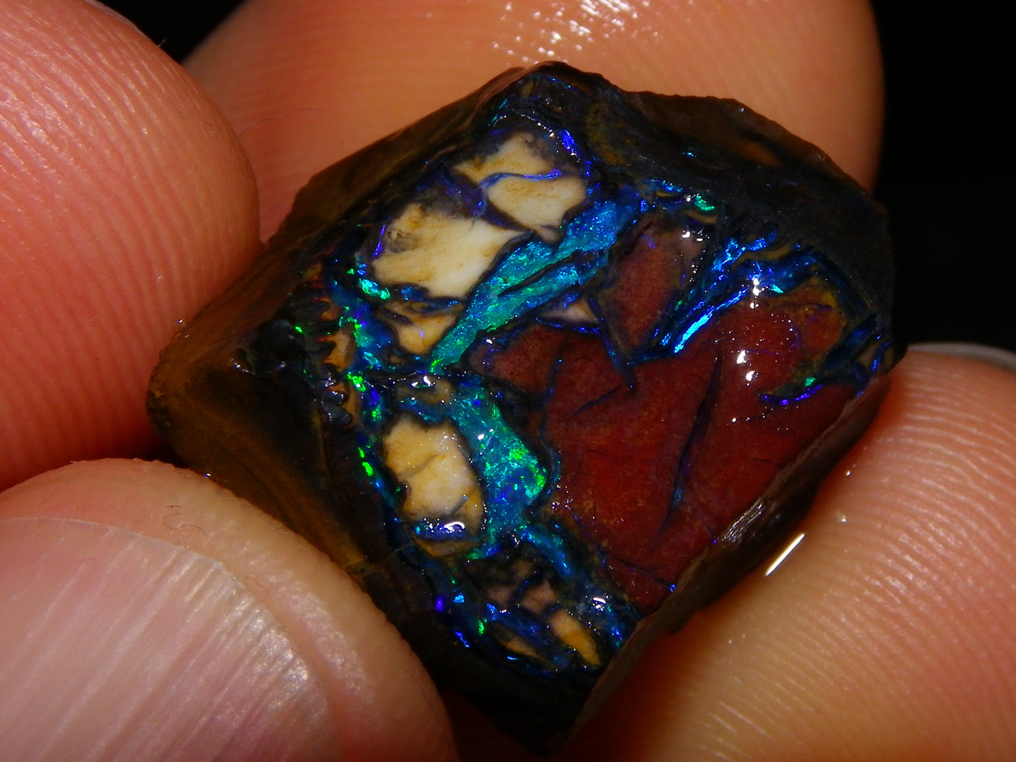 3 Nice Rough/Sliced Koroit Opal Nuts/Pattern Stones 171cts Queensland Australia Green/Blues