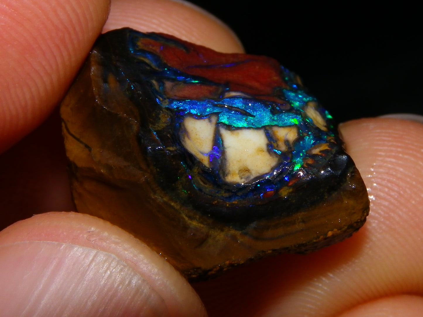 3 Nice Rough/Sliced Koroit Opal Nuts/Pattern Stones 171cts Queensland Australia Green/Blues