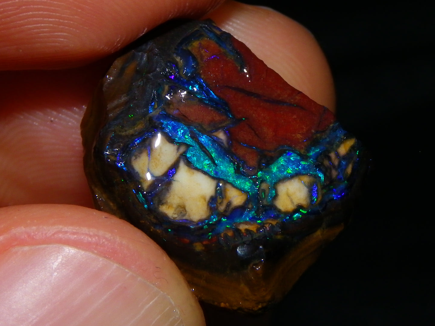 3 Nice Rough/Sliced Koroit Opal Nuts/Pattern Stones 171cts Queensland Australia Green/Blues