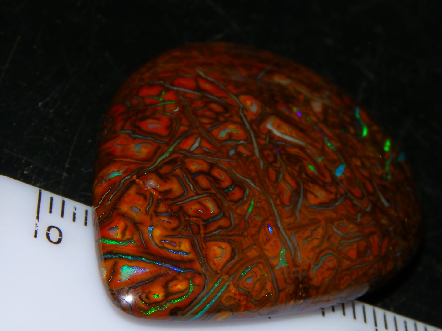 Koroit Opal Polished Cab/Freeform 65.76cts Patterns Blue/Green Fires Queensland Australia