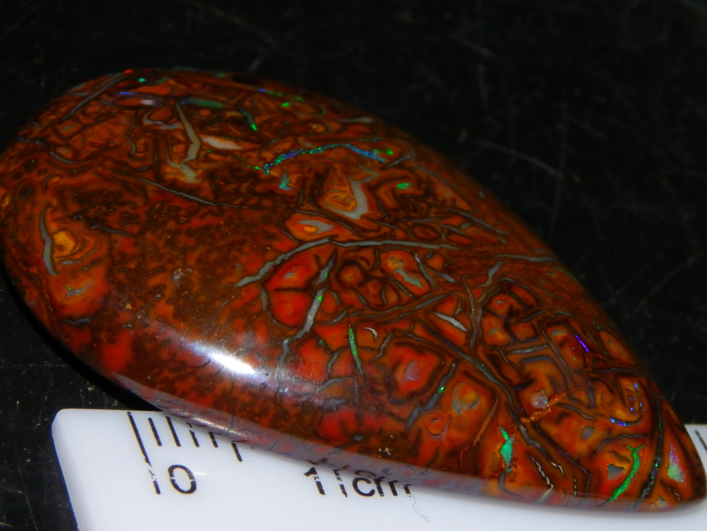 Koroit Opal Polished Cab/Freeform 65.76cts Patterns Blue/Green Fires Queensland Australia