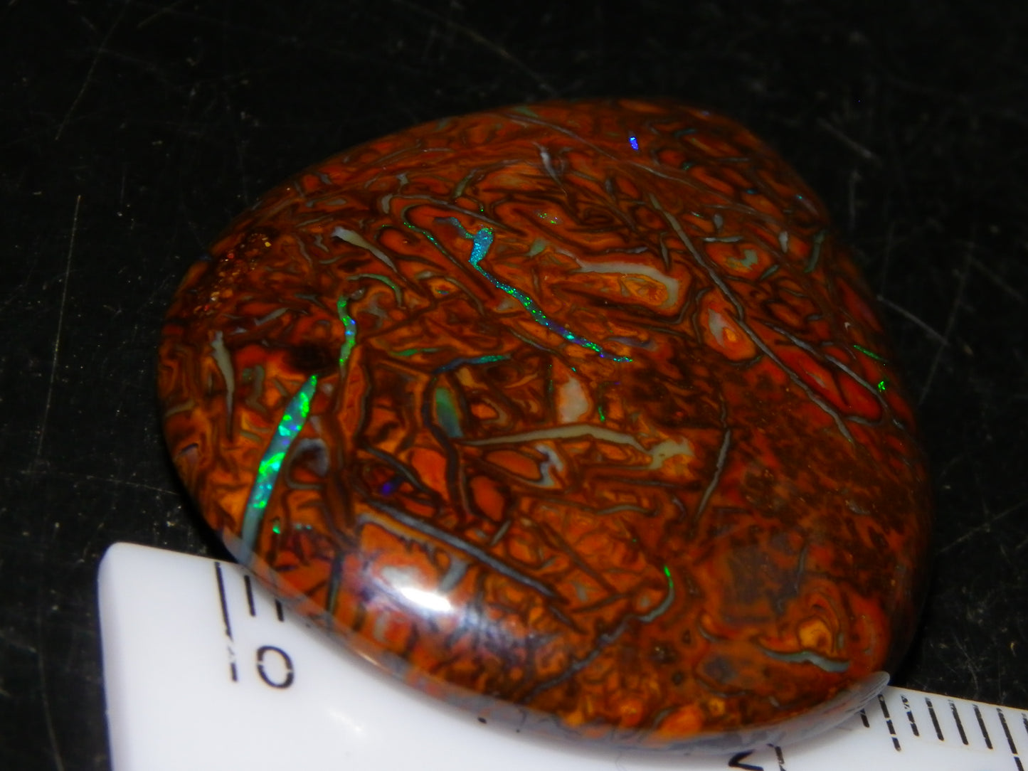 Koroit Opal Polished Cab/Freeform 65.76cts Patterns Blue/Green Fires Queensland Australia