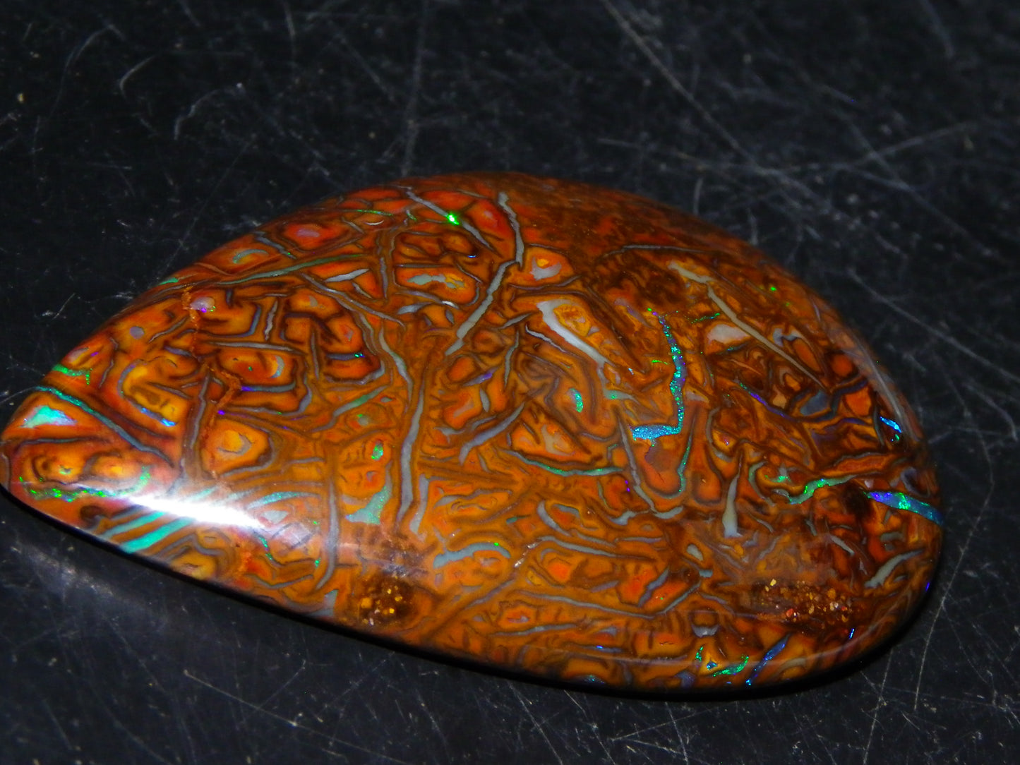 Koroit Opal Polished Cab/Freeform 65.76cts Patterns Blue/Green Fires Queensland Australia