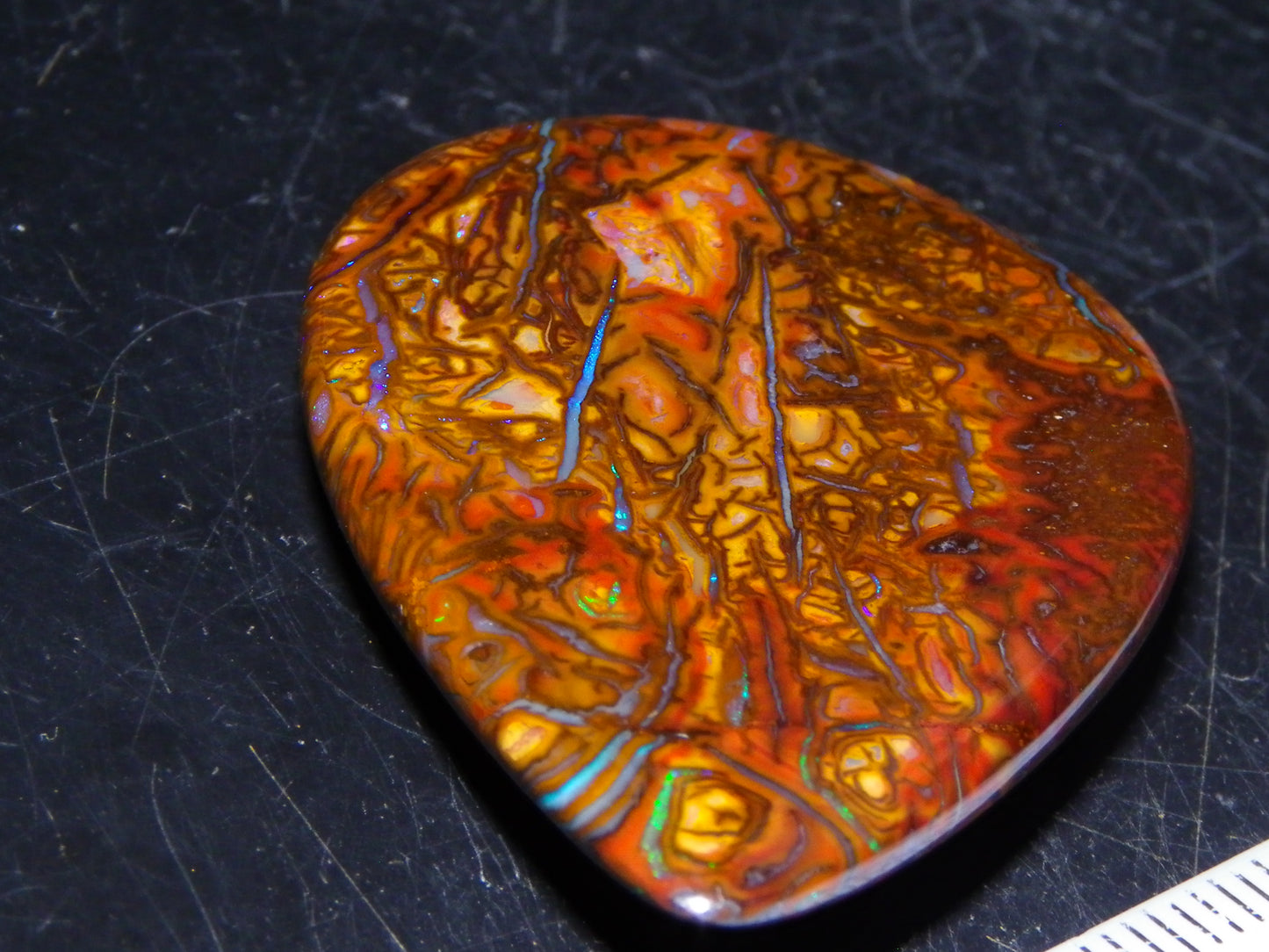 Koroit Opal Polished Cab/Freeform 65.76cts Patterns Blue/Green Fires Queensland Australia