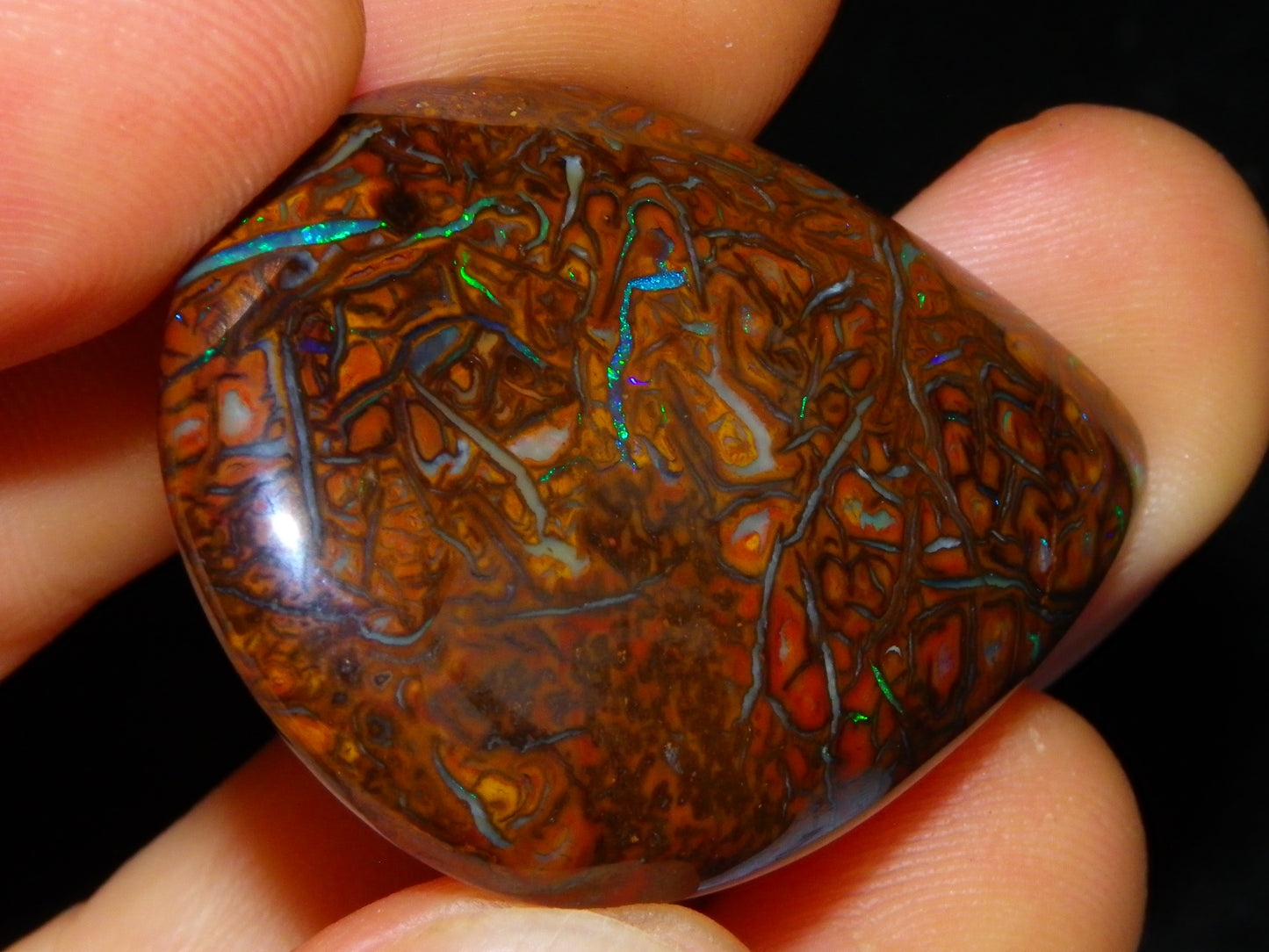 Koroit Opal Polished Cab/Freeform 65.76cts Patterns Blue/Green Fires Queensland Australia