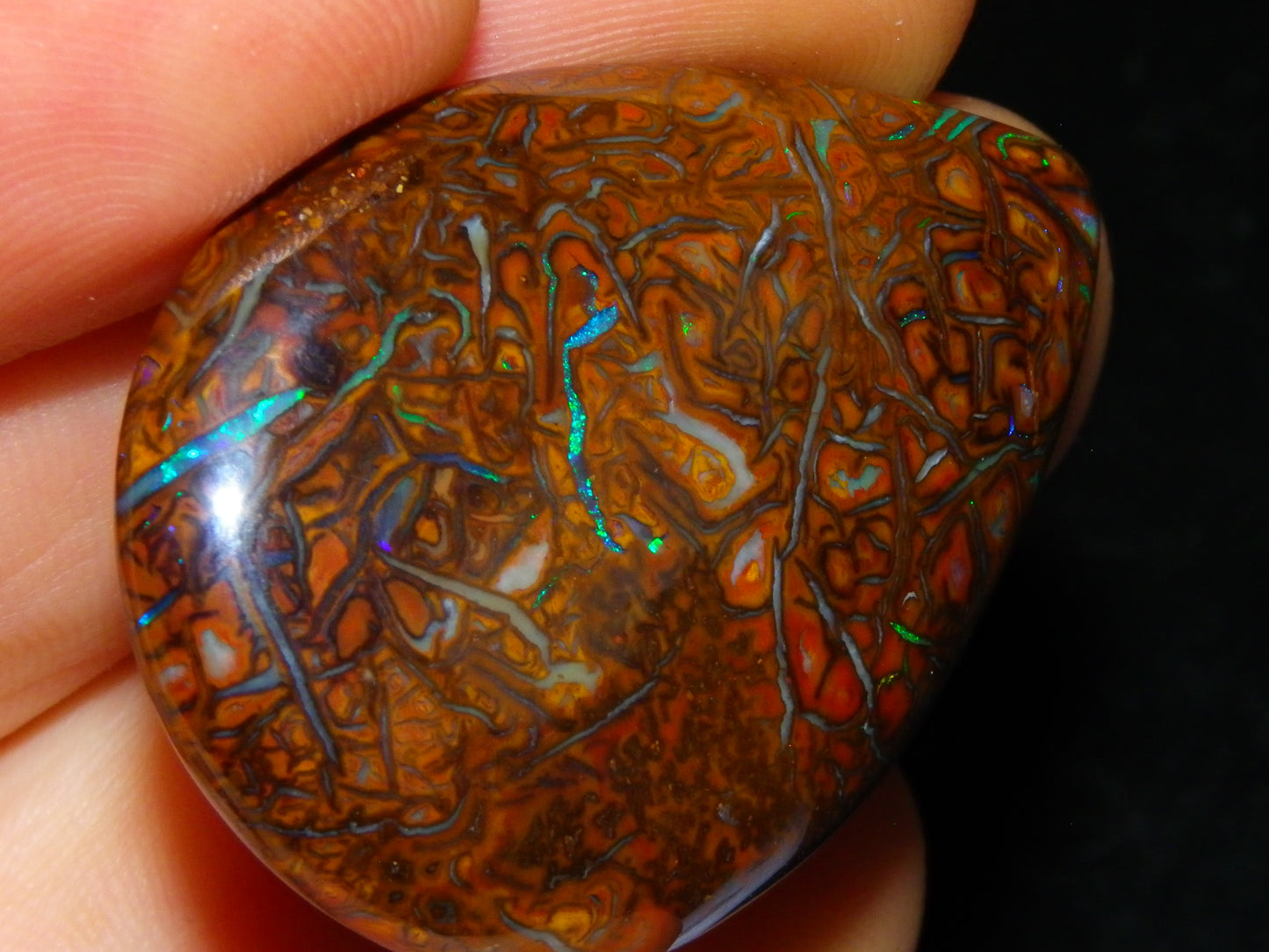 Koroit Opal Polished Cab/Freeform 65.76cts Patterns Blue/Green Fires Queensland Australia