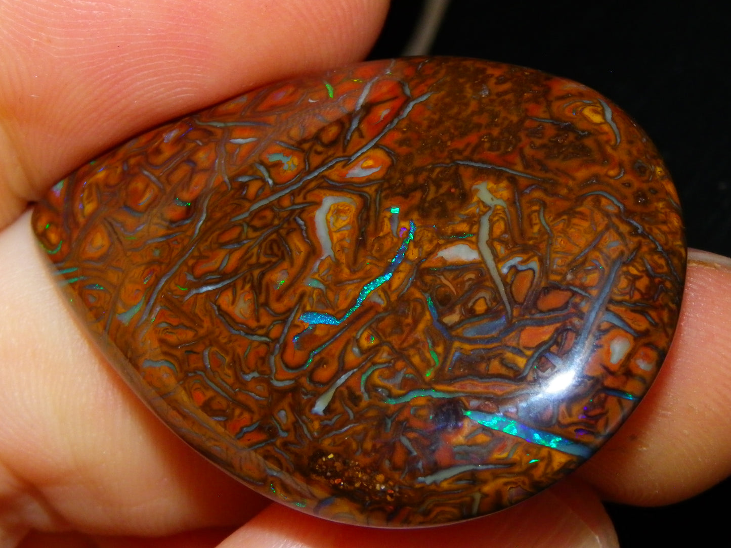 Koroit Opal Polished Cab/Freeform 65.76cts Patterns Blue/Green Fires Queensland Australia