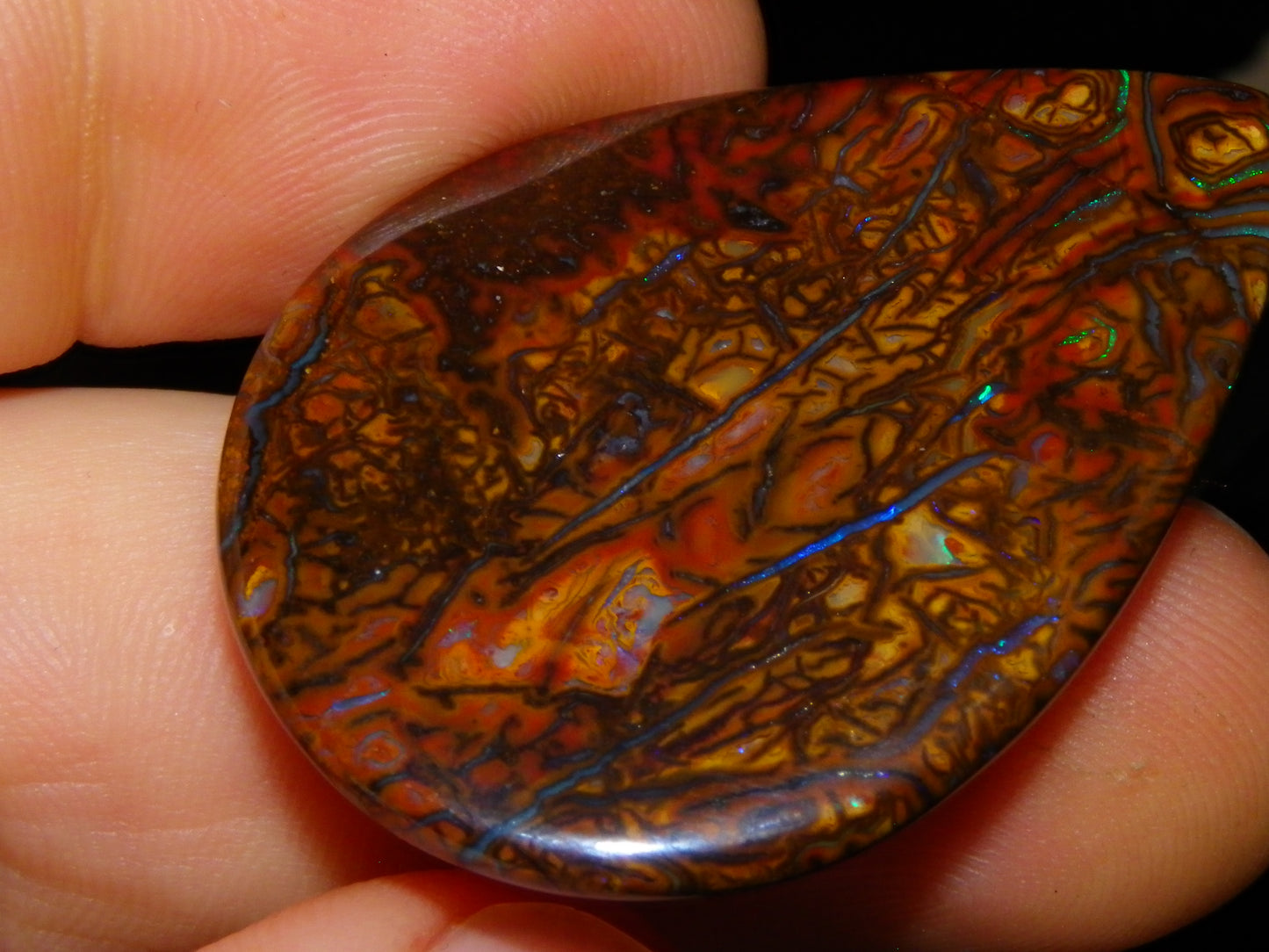 Koroit Opal Polished Cab/Freeform 65.76cts Patterns Blue/Green Fires Queensland Australia
