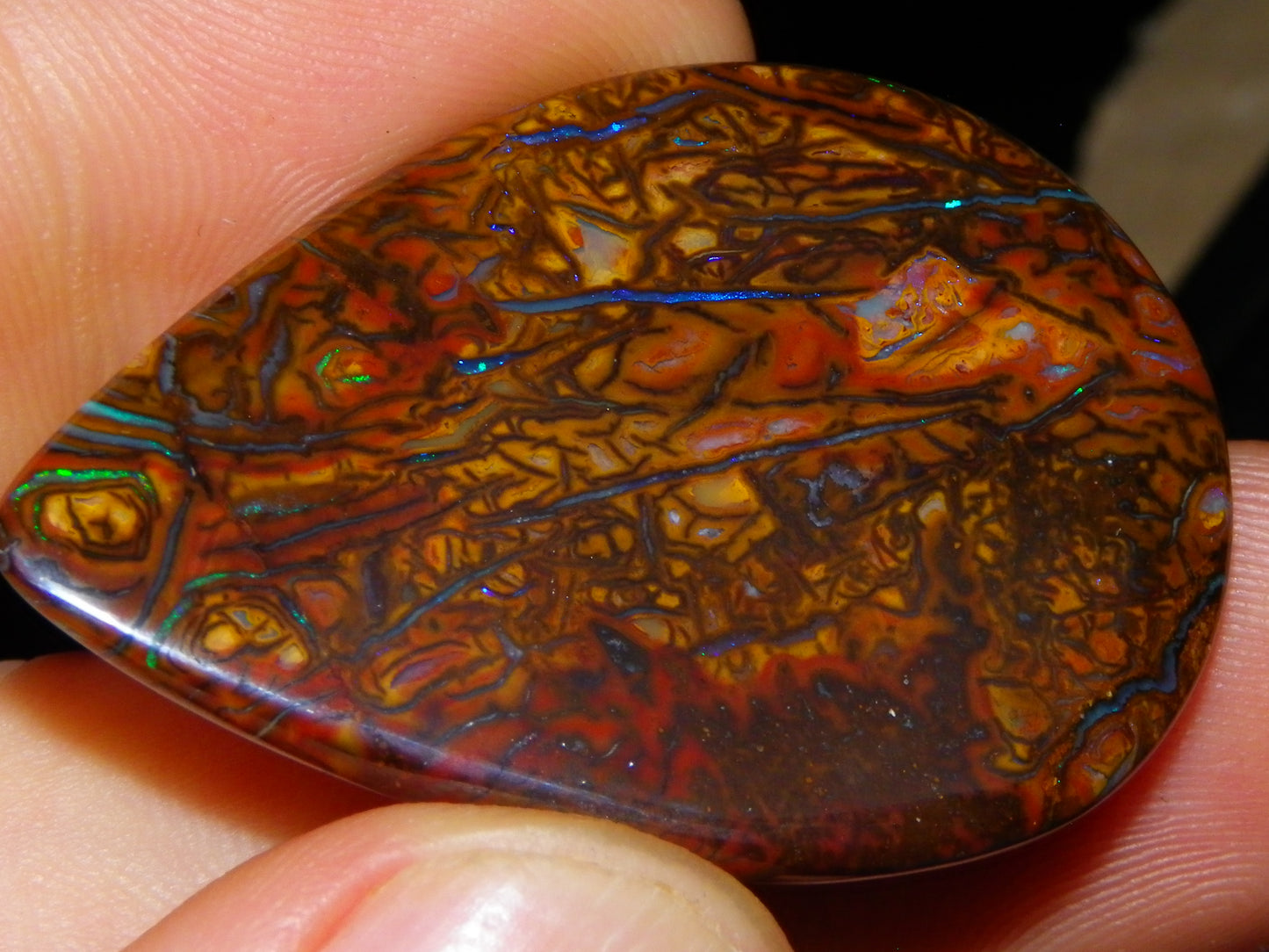 Koroit Opal Polished Cab/Freeform 65.76cts Patterns Blue/Green Fires Queensland Australia
