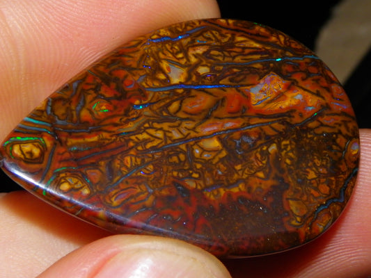 Koroit Opal Polished Cab/Freeform 65.76cts Patterns Blue/Green Fires Queensland Australia