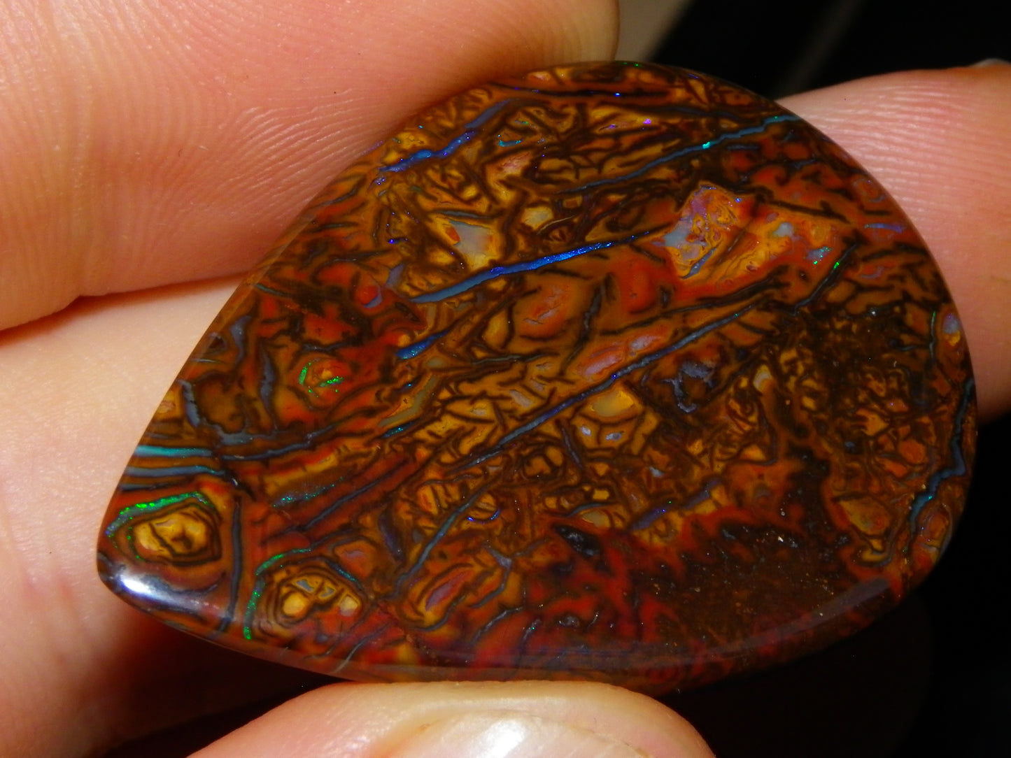 Koroit Opal Polished Cab/Freeform 65.76cts Patterns Blue/Green Fires Queensland Australia