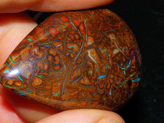 Koroit Opal Polished Cab/Freeform 65.76cts Patterns Blue/Green Fires Queensland Australia