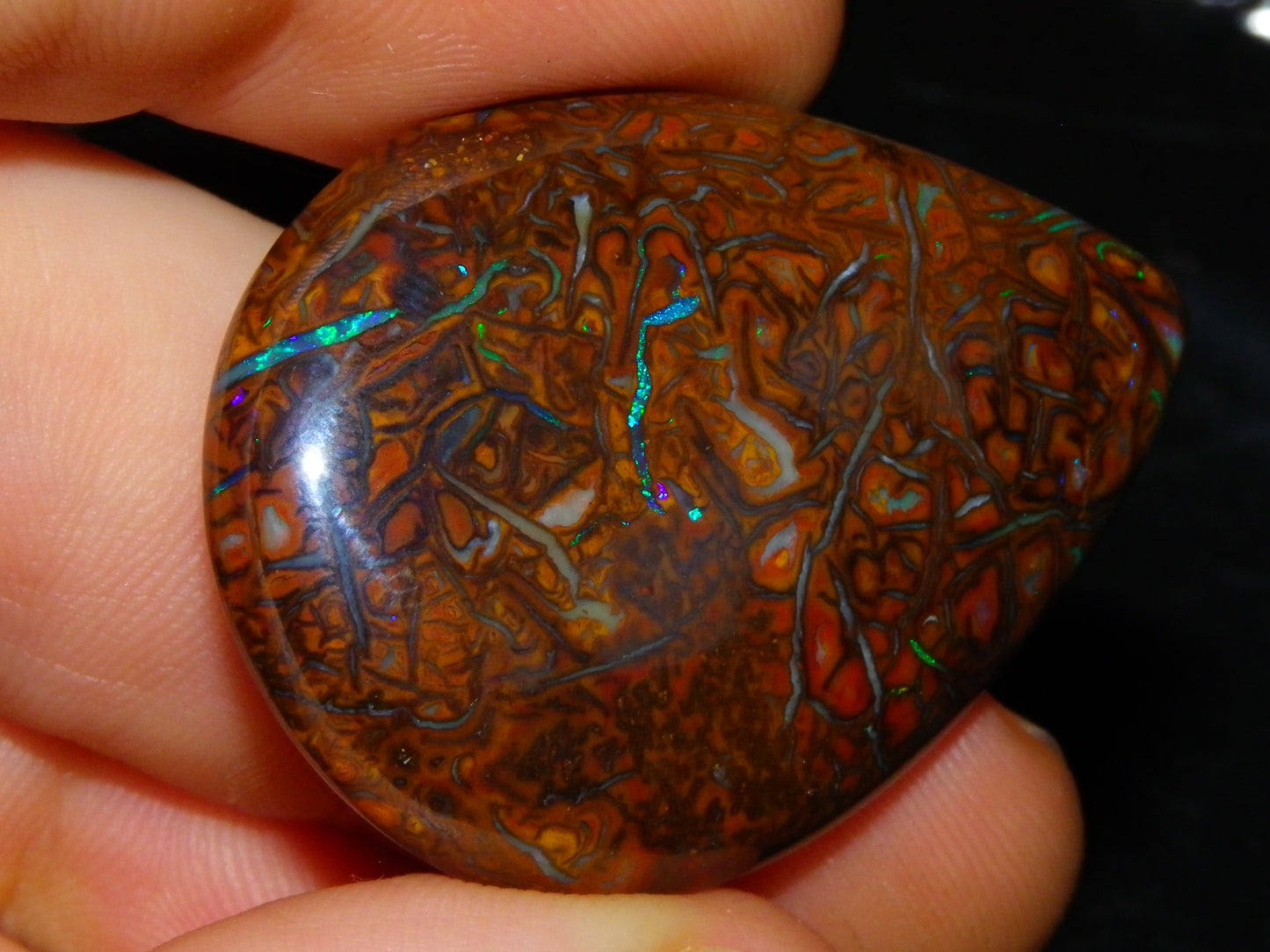 Koroit Opal Polished Cab/Freeform 65.76cts Patterns Blue/Green Fires Queensland Australia