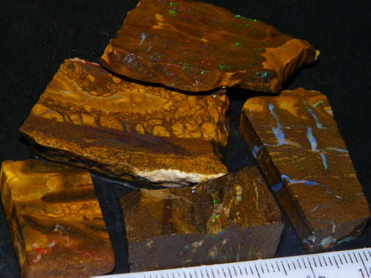 Nice Rough/sliced Matrix/Koroit Opal Parcel 225.2cts Patterns Some Fires Red/Greens