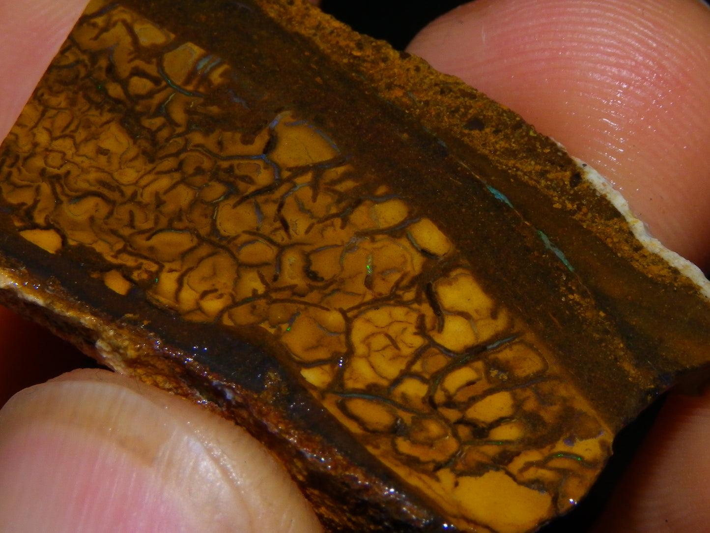 Nice Rough/sliced Matrix/Koroit Opal Parcel 225.2cts Patterns Some Fires Red/Greens