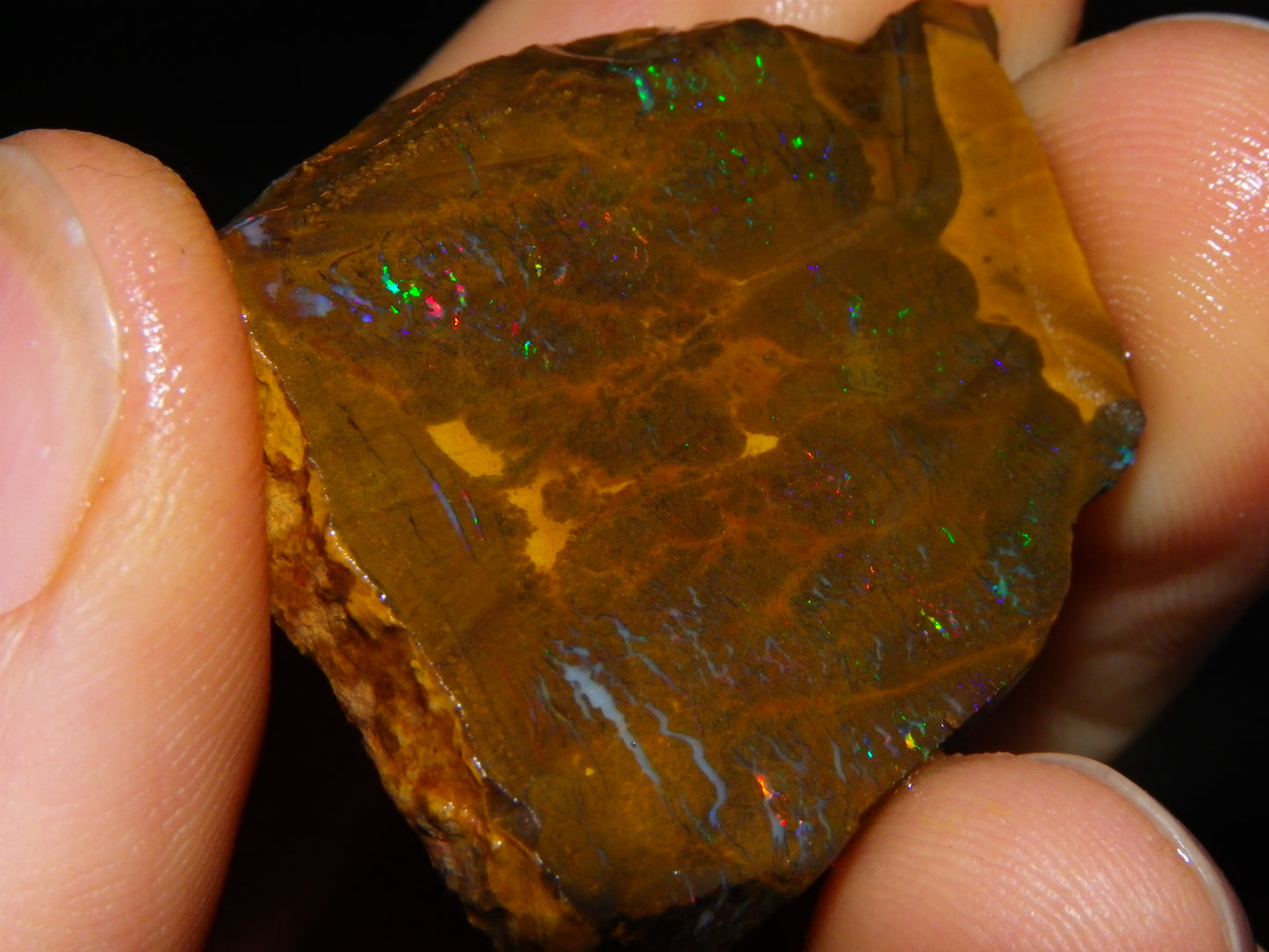 Nice Rough/sliced Matrix/Koroit Opal Parcel 225.2cts Patterns Some Fires Red/Greens