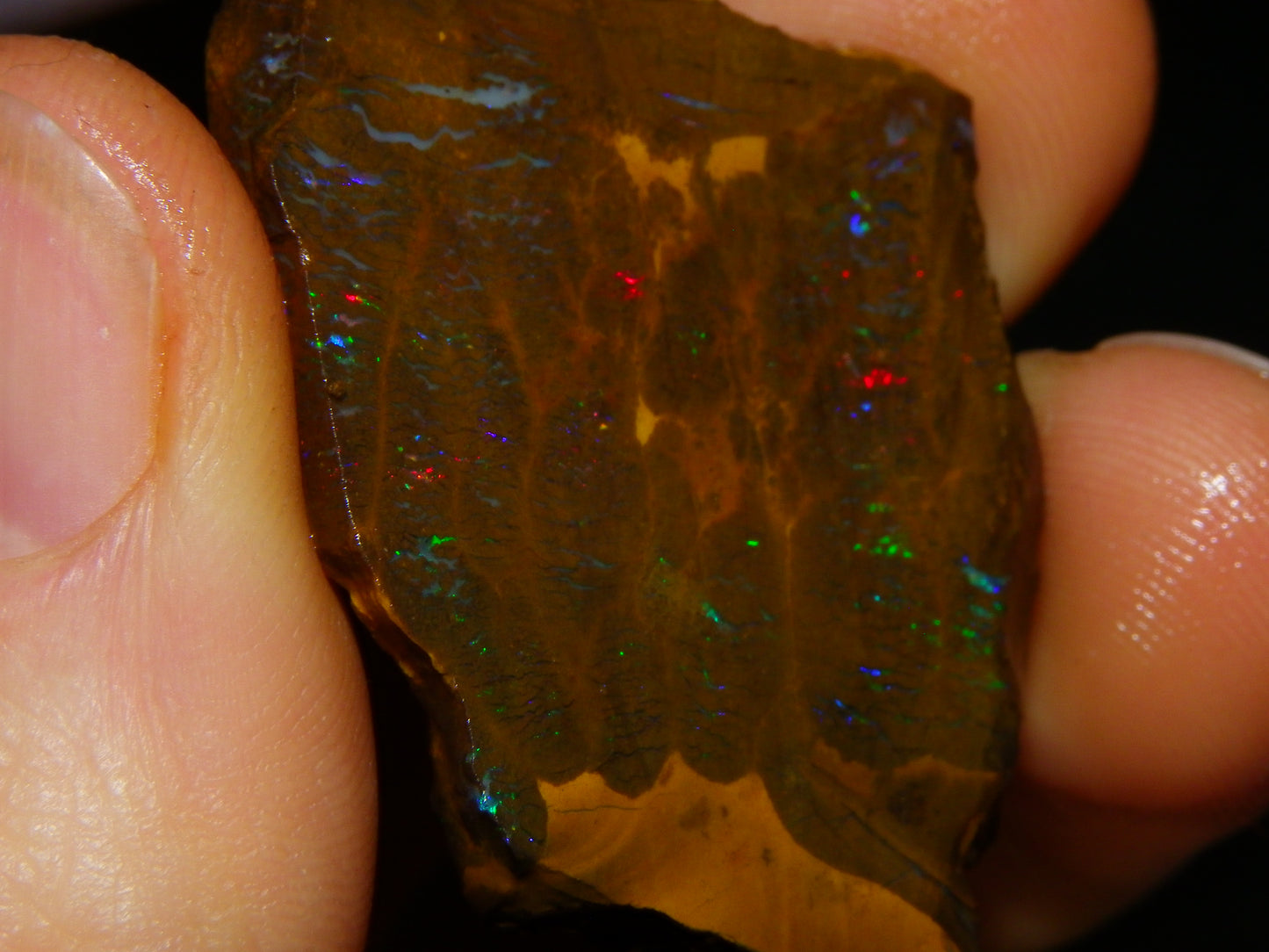 Nice Rough/sliced Matrix/Koroit Opal Parcel 225.2cts Patterns Some Fires Red/Greens